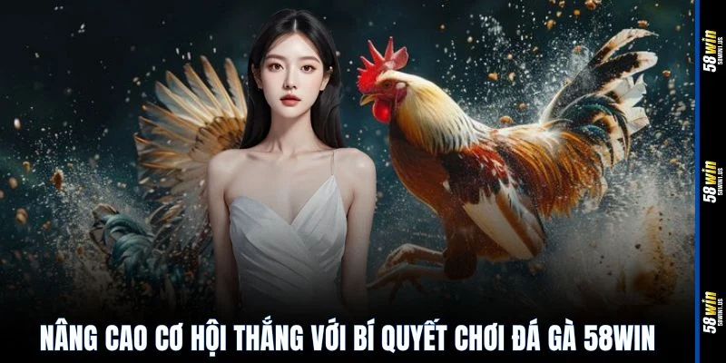 Nâng cao cơ hội thắng với bí quyết chơi đá gà 58WIN