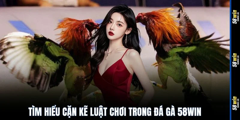Tìm hiểu cặn kẽ luật chơi trong đá gà 58WIN